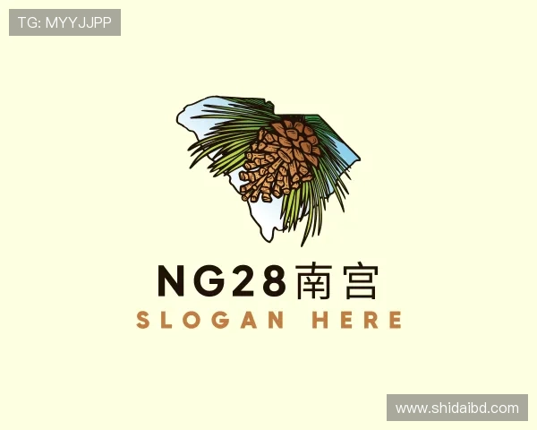 解读ng28南宫