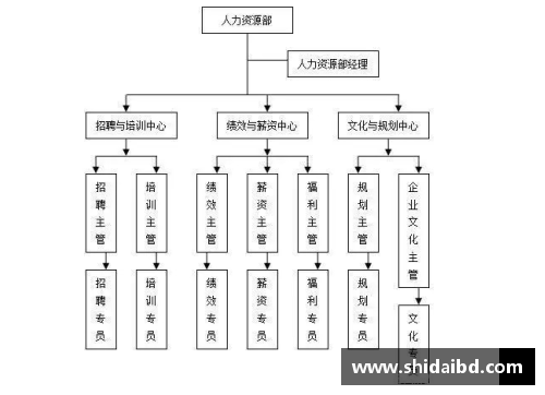 NBA鸟权制度解析与球员未来发展的关系