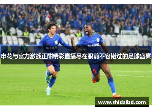 申花与富力激战正酣精彩直播尽在眼前不容错过的足球盛宴